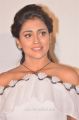 Actress Shriya Saran Stills @ Veera Bhoga Vasantha Rayalu Trailer Launch