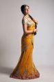 Shriya Saran Hot Photoshoot In Traditional Dress