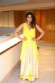 Actress Shriya Saran Photos @ SIIMA Short Film Awards 2019 Press Meet