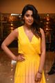 Actress Shriya Saran Photos @ SIIMA Awards 2019 Curtain Raiser