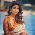 Telugu Actress Shriya Saran Recent Photoshoot Pics