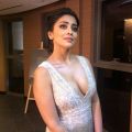 Telugu Actress Shriya Saran Recent Photoshoot Pics