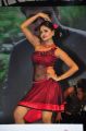 Shreya Vyas Dance Pics @ Chiranjeevi Birthday 2016 Celebrations