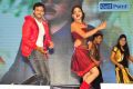 Shreya Vyas Dance Pics @ Chiranjeevi Birthday 2016 Celebrations