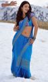 Gabbar Singh Heroine Shruthi Hassan Hot Blue Saree Stills