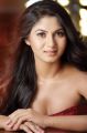 Tamil Actress Shruthi Reddy Hot Photo Shoot Pics