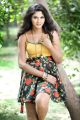 Actress Shruti Reddy Latest Hot Photo Shoot Pics