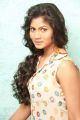 Tamil Actress Shruthi Reddy Hot Photo Shoot Stills