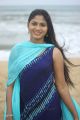 Tamil Actress Shruthi Reddy Latest Photoshoot Pics