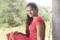 Tamil Actress Shruthi Reddy Latest Photoshoot Pics