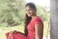 Tamil Actress Shruti Reddy Latest Photoshoot Pics