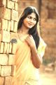 Tamil Actress Shruthi Reddy in Saree Photo Shoot Images