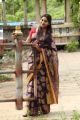 Tamil Actress Shruthi Reddy in Saree Photo Shoot Images