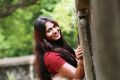 Tamil Actress Shruthi Reddy in Saree Photo Shoot Images