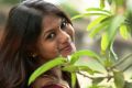 Tamil Actress Shruthi Reddy New Photo Shoot Images