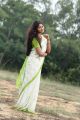 Tamil Actress Shruthi Reddy Saree New Photos