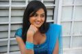 Telugu Actress Shruti Hot Stills