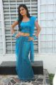 New Telugu Actress Shruti Hot Stills in blue dress