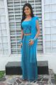 New Telugu Actress Shruti Hot Stills in blue dress