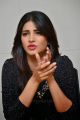 Beautiful Shruti Hassan Pictures @ Race Gurram Press Interview