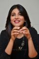 Beautiful Shruti Hassan Pictures @ Race Gurram Press Interview