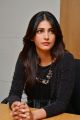 Beautiful Shruti Haasan Pictures @ Race Gurram Movie Press Interview