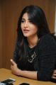 Beautiful Shruti Hassan Pictures @ Race Gurram Press Interview