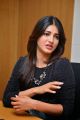 Beautiful Shruti Haasan Pictures @ Race Gurram Press Interview