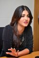 Beautiful Shruti Hassan Pictures @ Race Gurram Press Interview