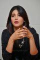 Beautiful Shruti Haasan Pictures @ Race Gurram Press Interview