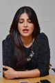 Beautiful Shruti Haasan Pictures @ Race Gurram Press Interview