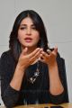 Beautiful Shruti Haasan Pictures @ Race Gurram Movie Press Interview