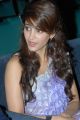 Beautiful Shruti Haasan Cute Stills at Balupu Teaser Launch