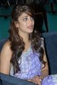 Beautiful Shruti Hassan Cute Stills at Balupu Teaser Launch