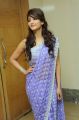 Actress Shruthi Hassan Cute in Saree Photoshoot Stills