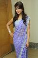 Actress Shruti Hassan Cute in Saree Photoshoot Stills