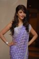 Actress Shruti Hassan in Saree Cute Photoshoot Stills