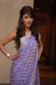 Beautiful Shruti Hassan Photoshoot Stills @ Balupu Logo Launch Function