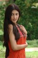 Shruti Hassan Cute Stills