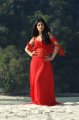 Shruti Hassan Hot Stills in 7aam Arivu