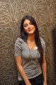 Shruti Hassan Latest Pics