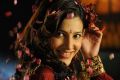 Actress Shruti Hassan New Pictures