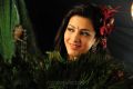 Telugu Actress Shruti Hassan New Pictures