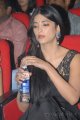 Shruti Hassan New Photos