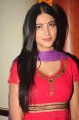Shruti Hassan New Pictures