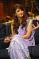 Actress Shruti Hassan Cute Photos in Purple Designer Saree