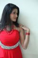 Actress Shruti Hussain Photos @ Something Prema Audio Release