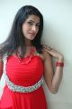 Actress Shruti Hussain Photos @ Something Prema Audio Release
