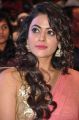 Actress Shruti Sodhi Photos @ Patas Movie Audio Launch