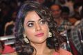 Telugu Actress Shruti Sodhi Photos @ Patas Audio Release